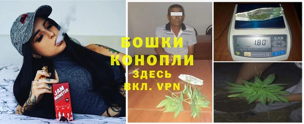 гидра Белокуриха