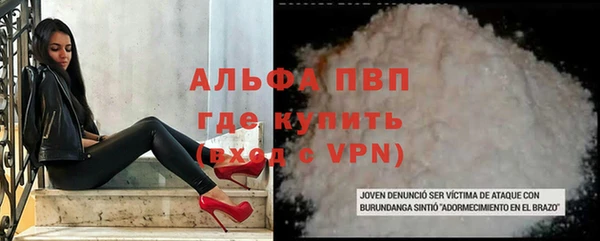гидра Белокуриха