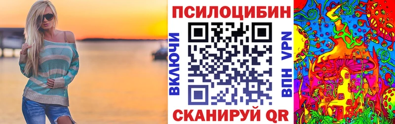 мега tor наркотики Берёзовка Псилоцибиновые грибы Psilocybine cubensis